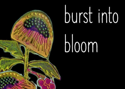 Burst into Bloom – August 2024