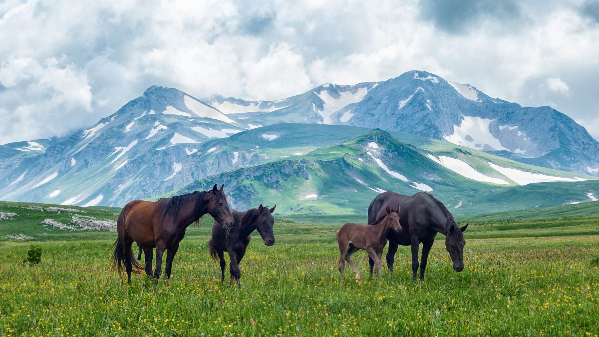 “The Great Adventure” by Rev. Scott D. Samuelson
