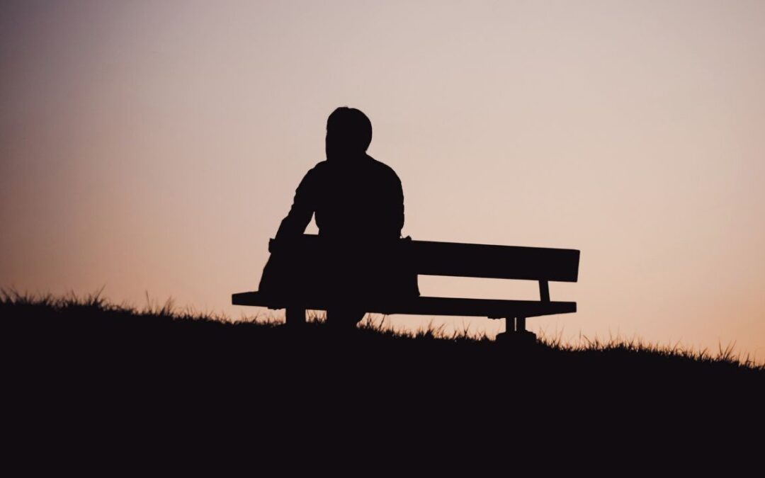 Silhouette of a person sitting on a bench against a pinkish-orange sunset sky, with grass silhouetted in the foreground.