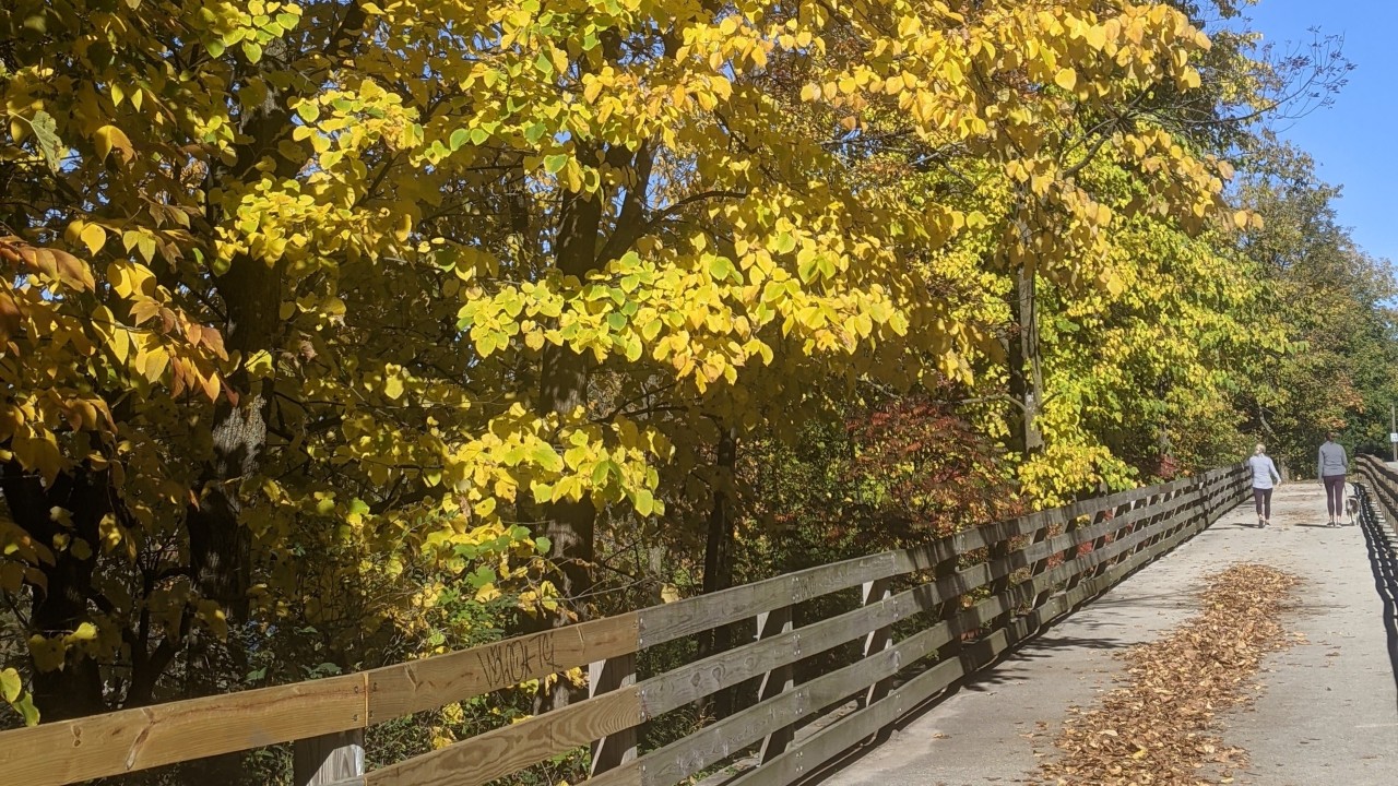 “Seasons” by Rev. Beth Patton