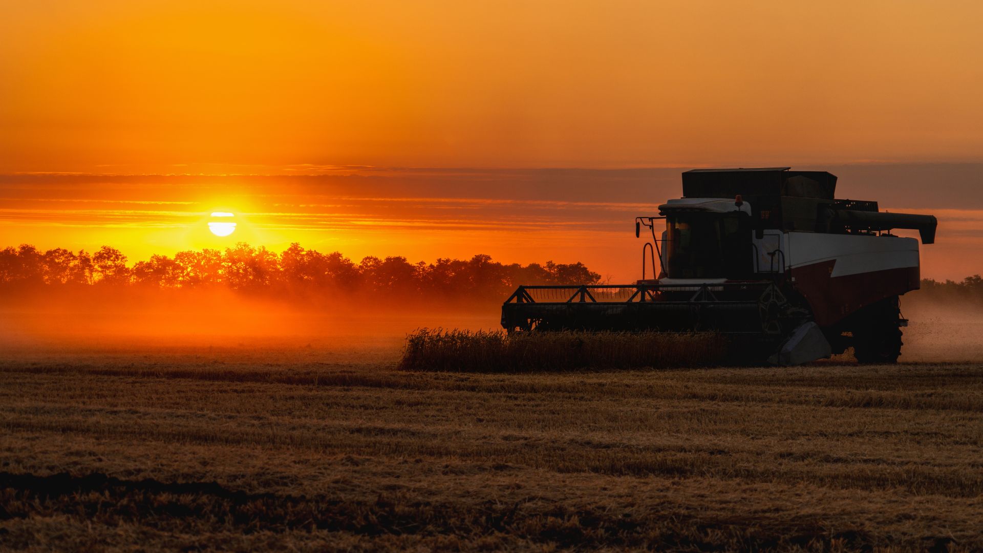 “A Year’s Harvest” by Rev. Scott D. Samuelson